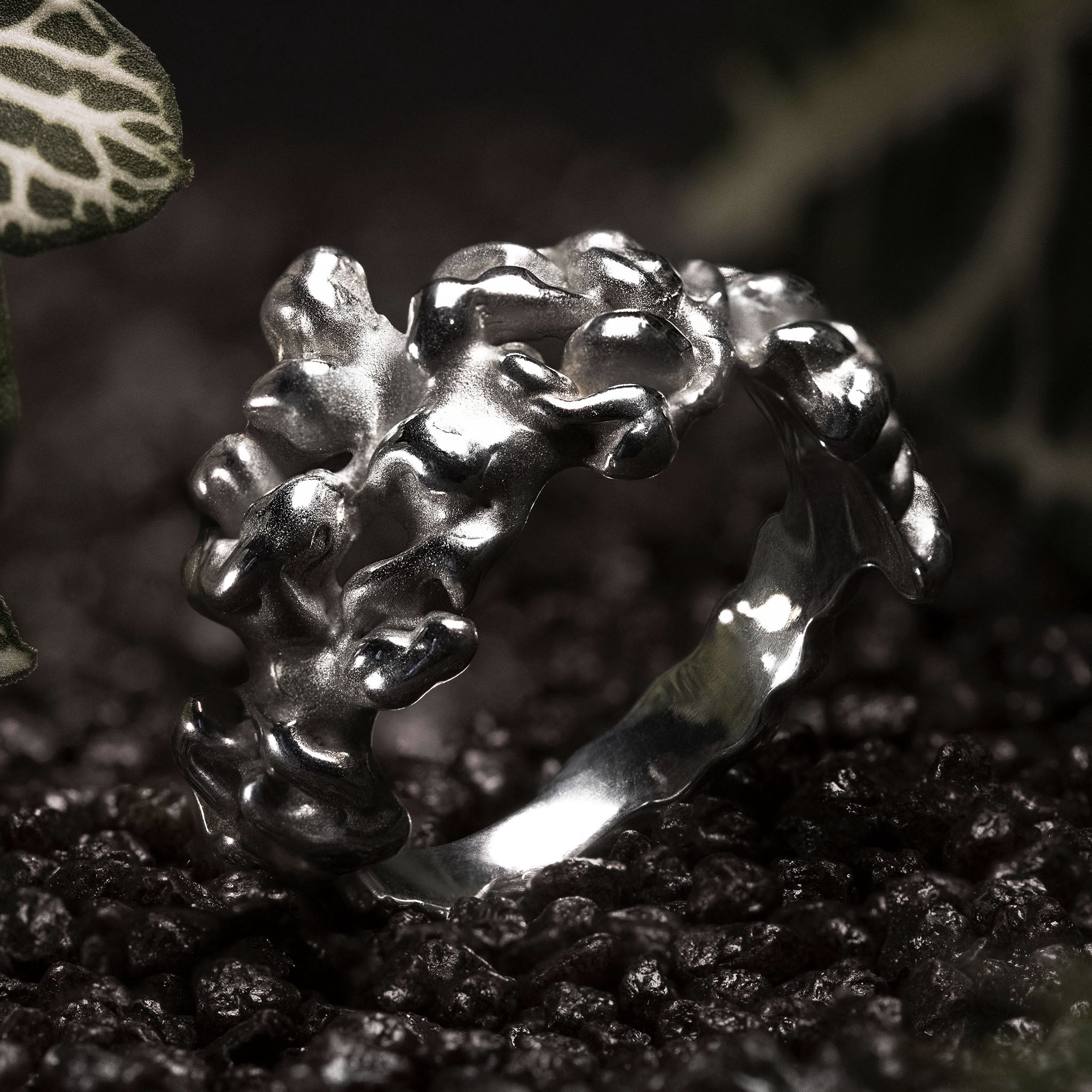 ANELLO STATEMENT #1 VERENA