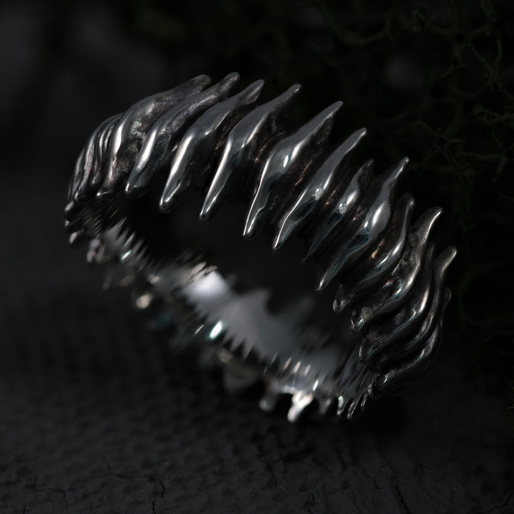 ANELLO "HALLUCIGENIA" - Modello #17