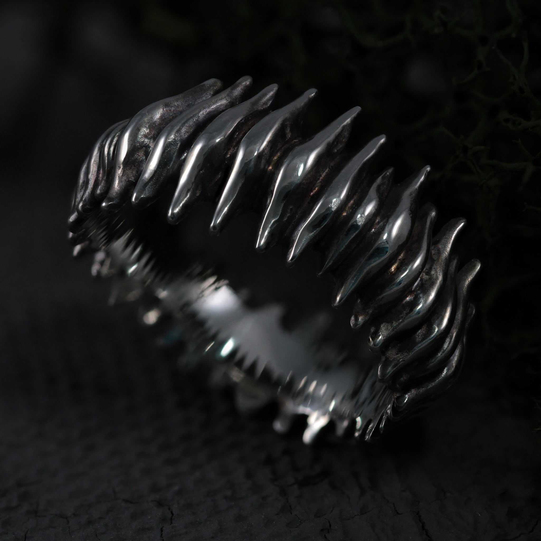 ANELLO "HALLUCIGENIA" - Modello #17