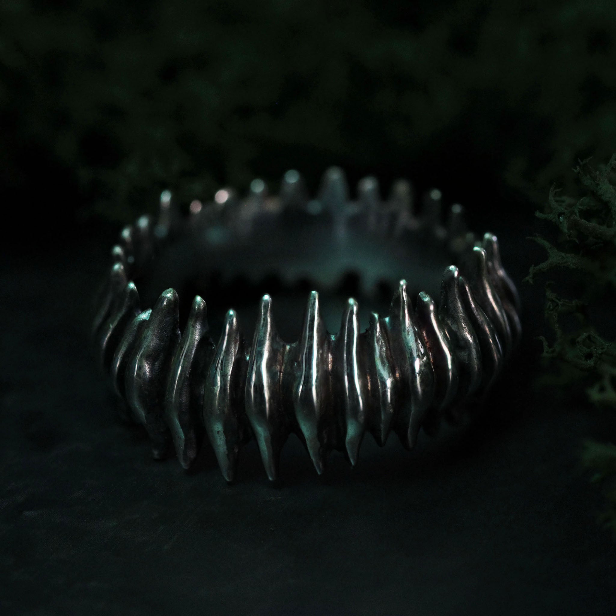 ANELLO "HALLUCIGENIA" - Modello #17