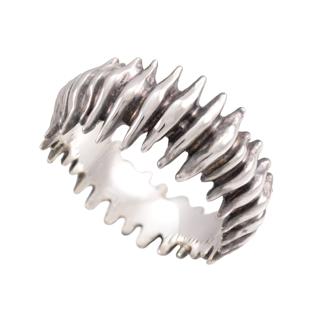 ANELLO "HALLUCIGENIA" - Modello #17