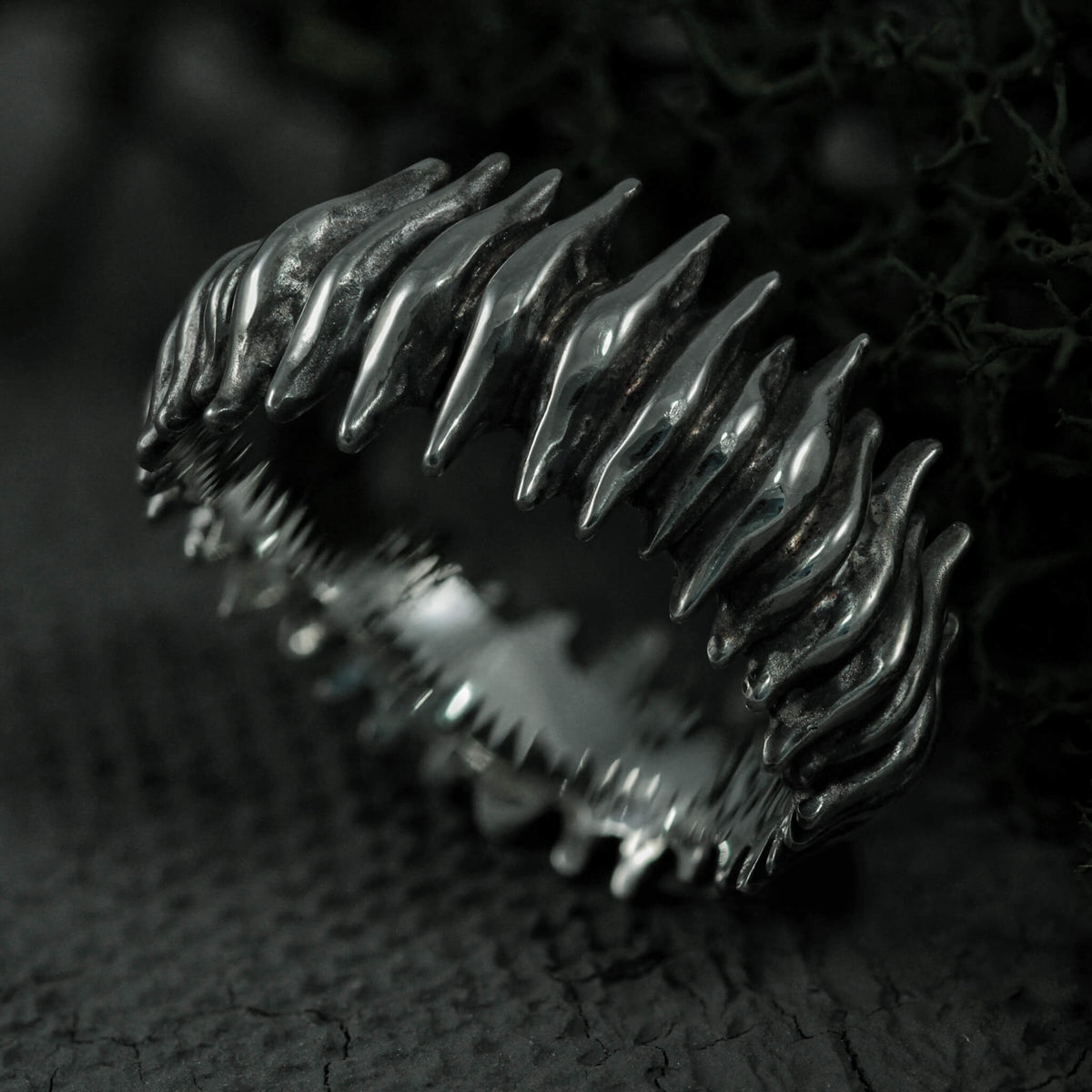Anello Hallucigenia | n.81