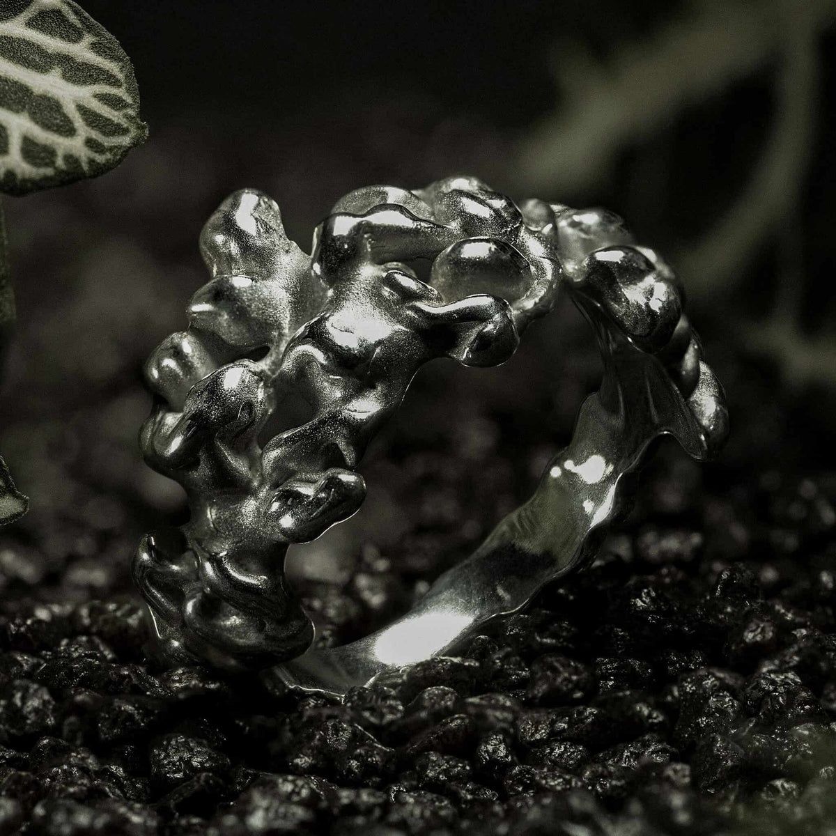 Anello fronte scolpito Verena | n.23