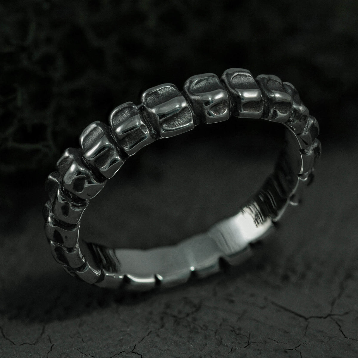 Anello Vertebrae | n.37